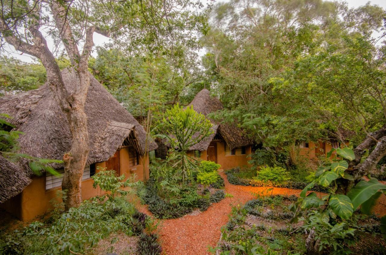 Distant Relatives Ecolodge & Backpackers Kilifi Eksteriør bilde