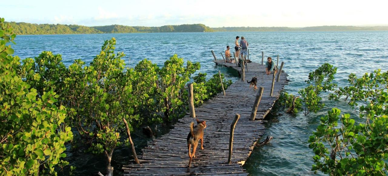 Distant Relatives Ecolodge & Backpackers Kilifi Eksteriør bilde