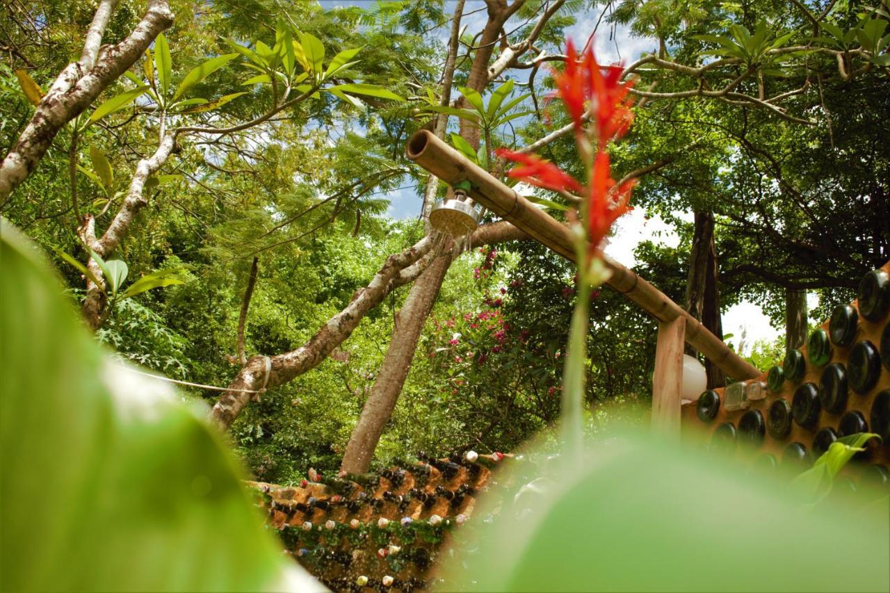Distant Relatives Ecolodge & Backpackers Kilifi Eksteriør bilde